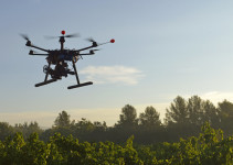 Drone Viticoltura Di Precisione